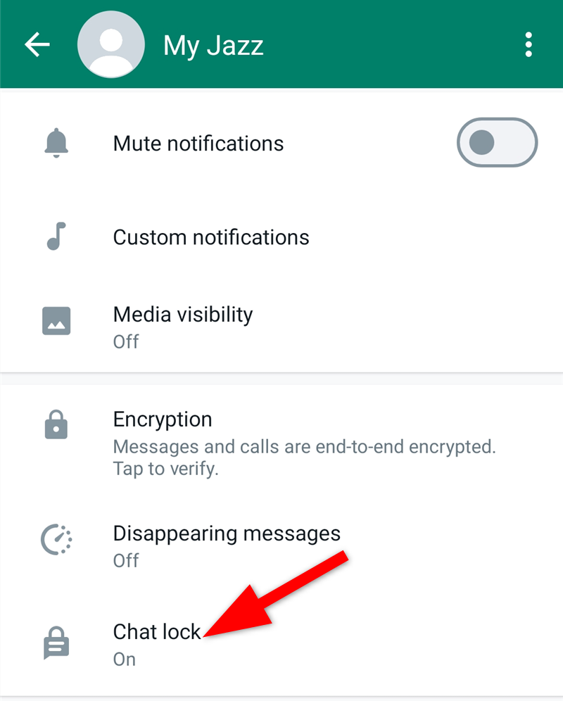 Параметры индивидуального чата с включённой опцией Chat Lock