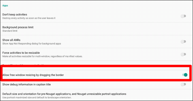 Скриншот опции разрешения свободного изменения размера окна