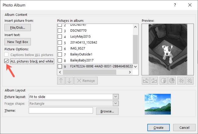 Флажок для преобразования всех фото в черно‑белые