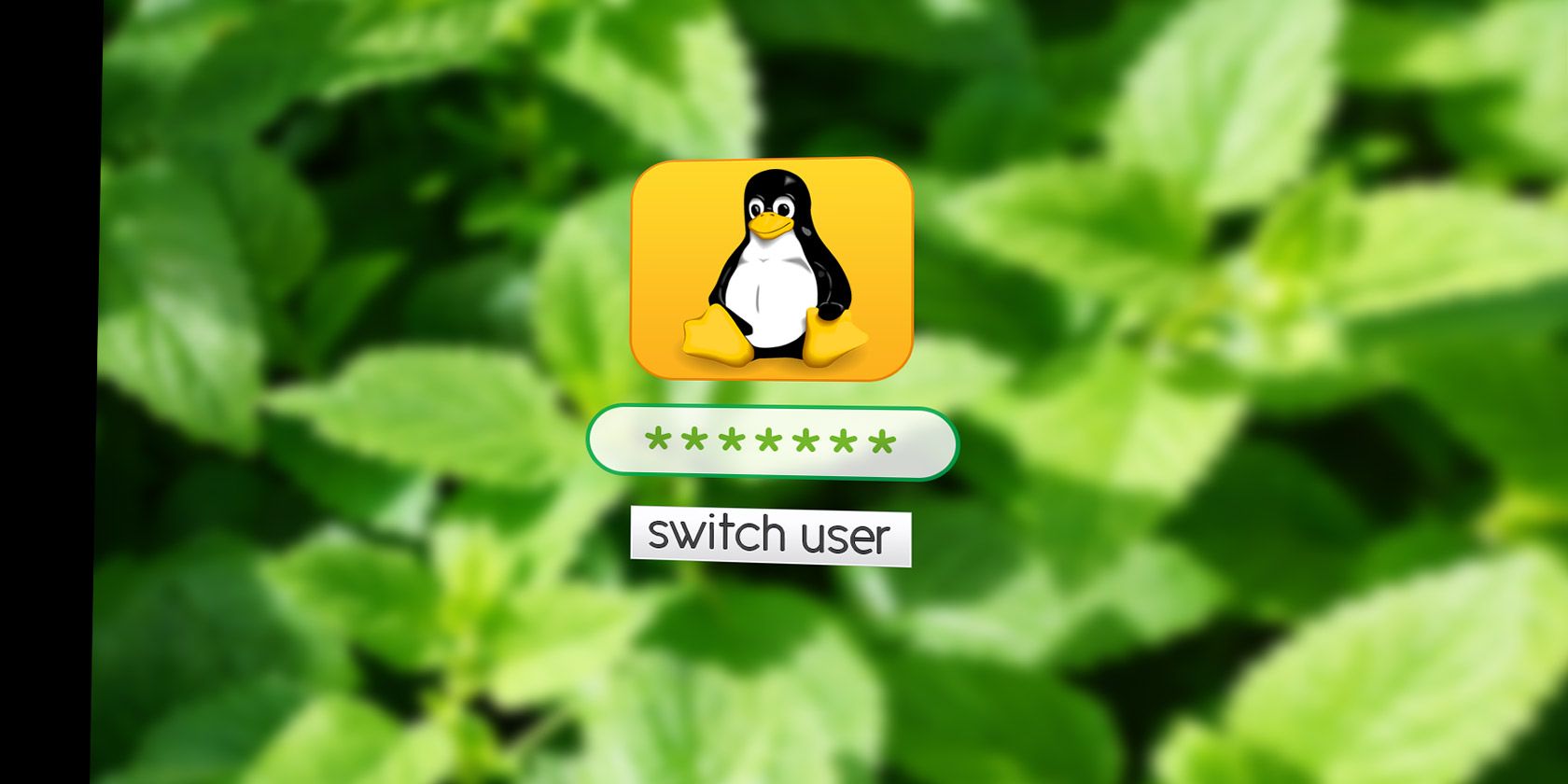 Как заменить дисплей-менеджер в Linux