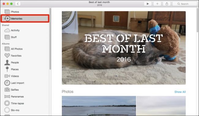 Предпросмотр воспоминания с миниатюрами и заголовком подборки