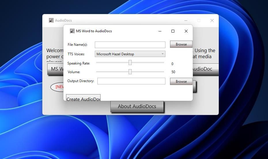 Опции конвертации в AudioDocs