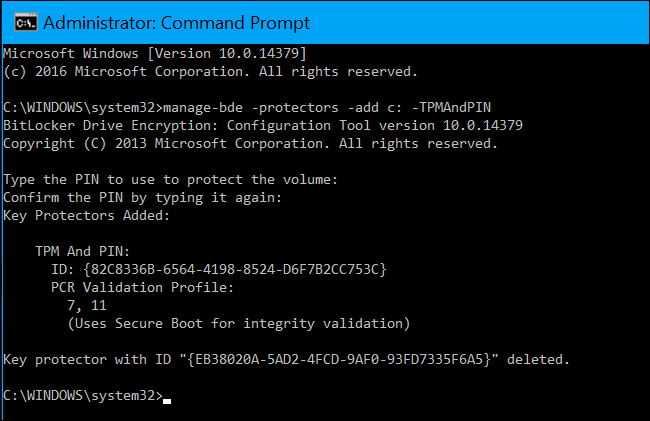 Пример вывода manage-bde -status с указанными защитниками