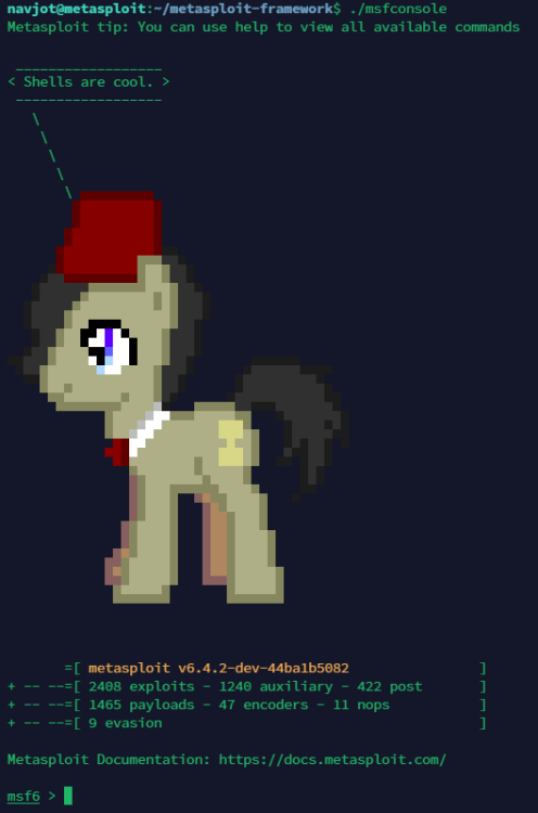 Вывод консоли Metasploit