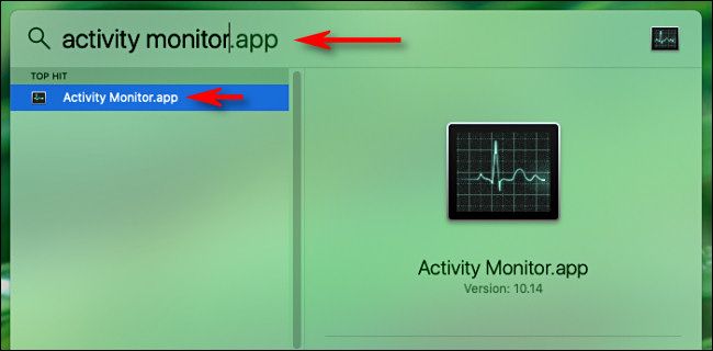 Откройте Spotlight, введите Activity Monitor и нажмите Return
