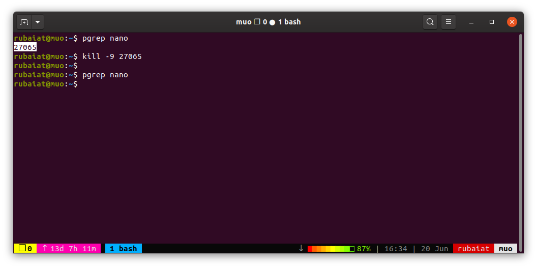 остановка зомби процесса с помощью команды kill в Linux