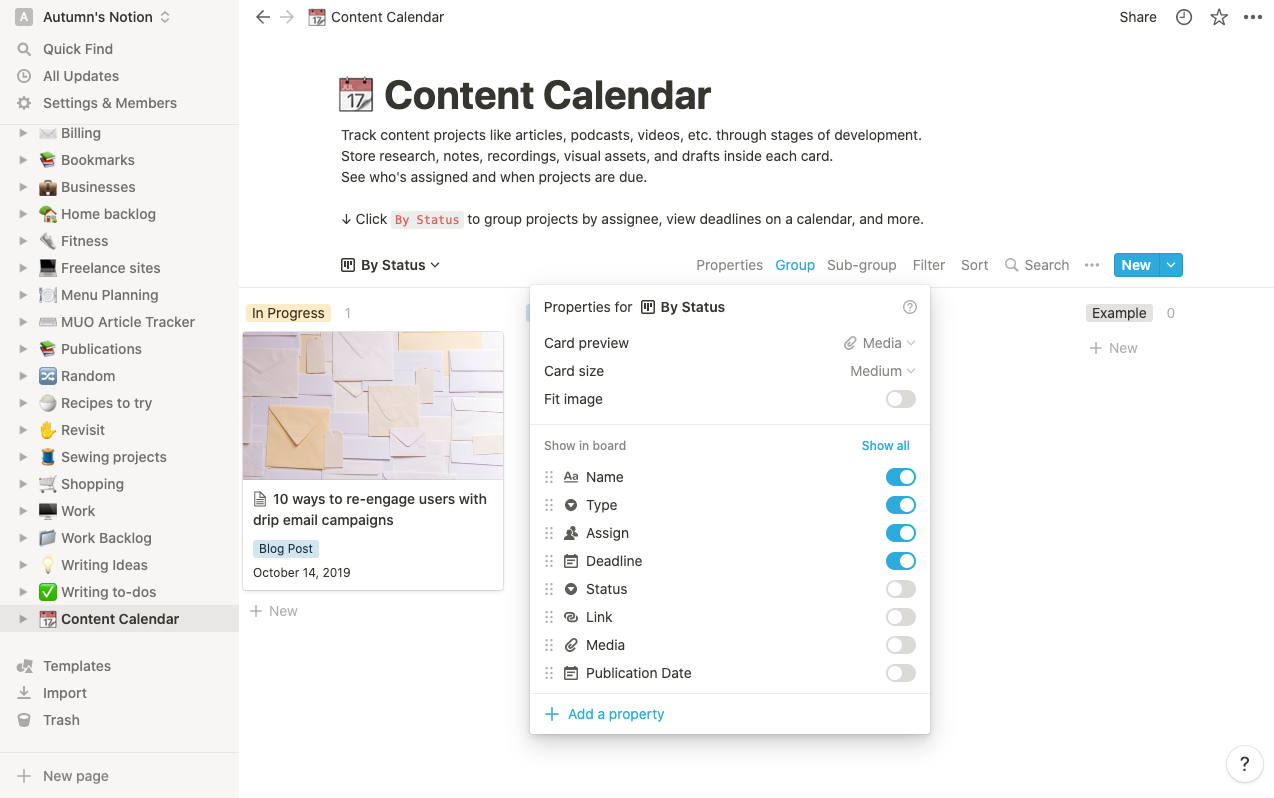 Скриншот открытой вкладки опций