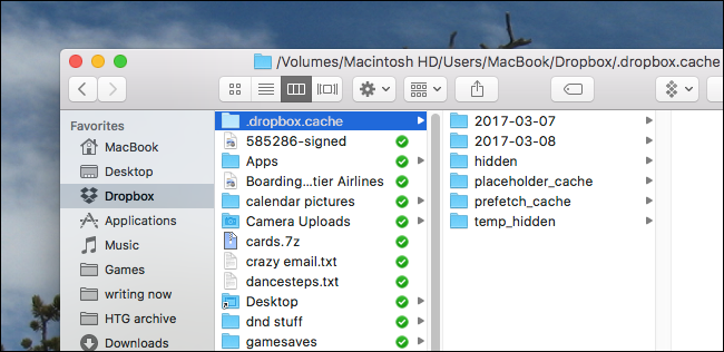 Папка кеша Dropbox в macOS