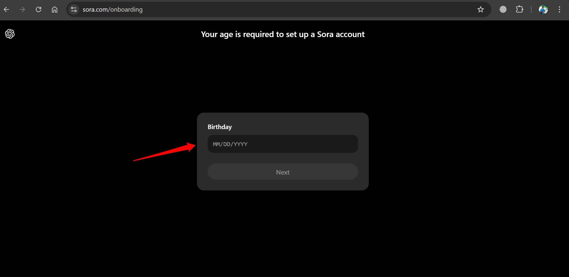 Sora 온보딩 입력 화면