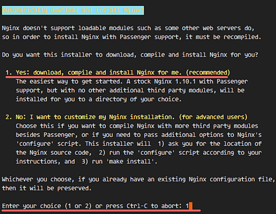 Установка Nginx с Phusion Passenger