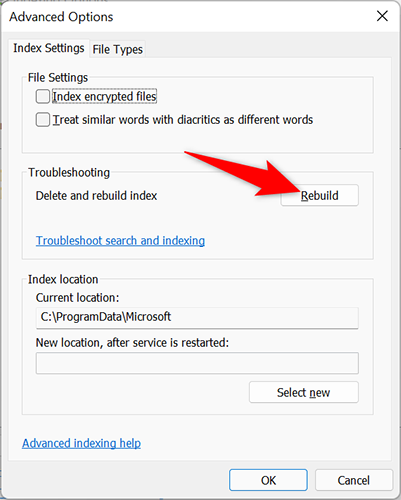 Вкладка «Параметры индексации» с кнопкой для перестройки индекса.