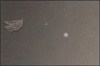 Инструмент Clone Stamp в интерфейсе редактора