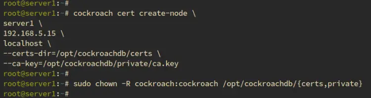 Генерация сертификата для server1