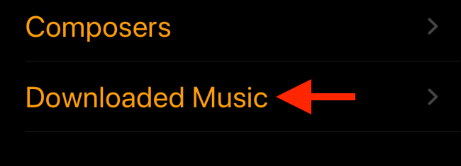 Выберите Downloaded Music в выборе песен