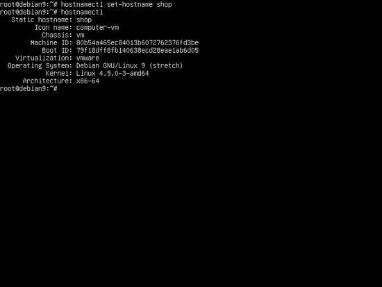 Установка имени хоста сервера