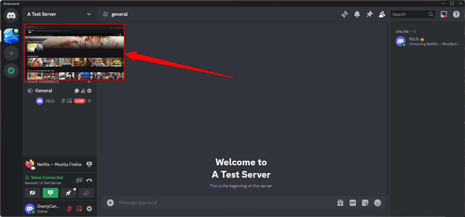 Трансляция Netflix открыта в окне Discord.