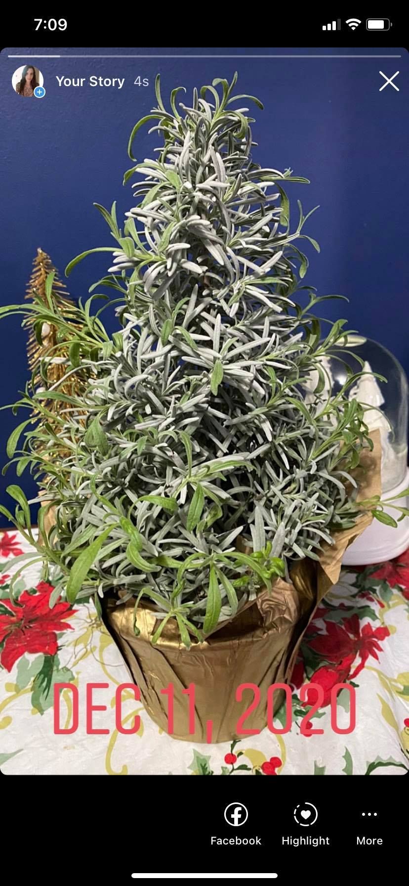 история Instagram