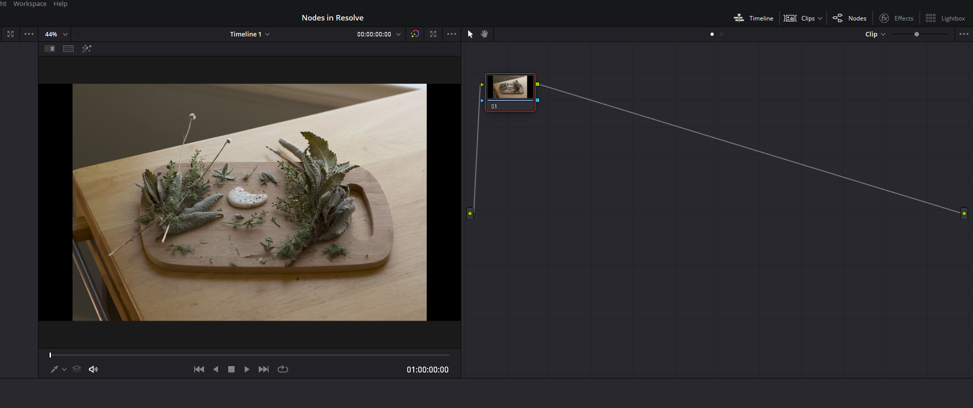 The default Node in DaVinci Resolve.