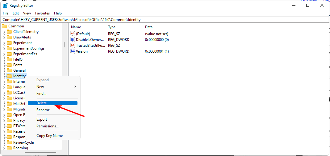 Контекстное меню с опцией Удалить для раздела Identity