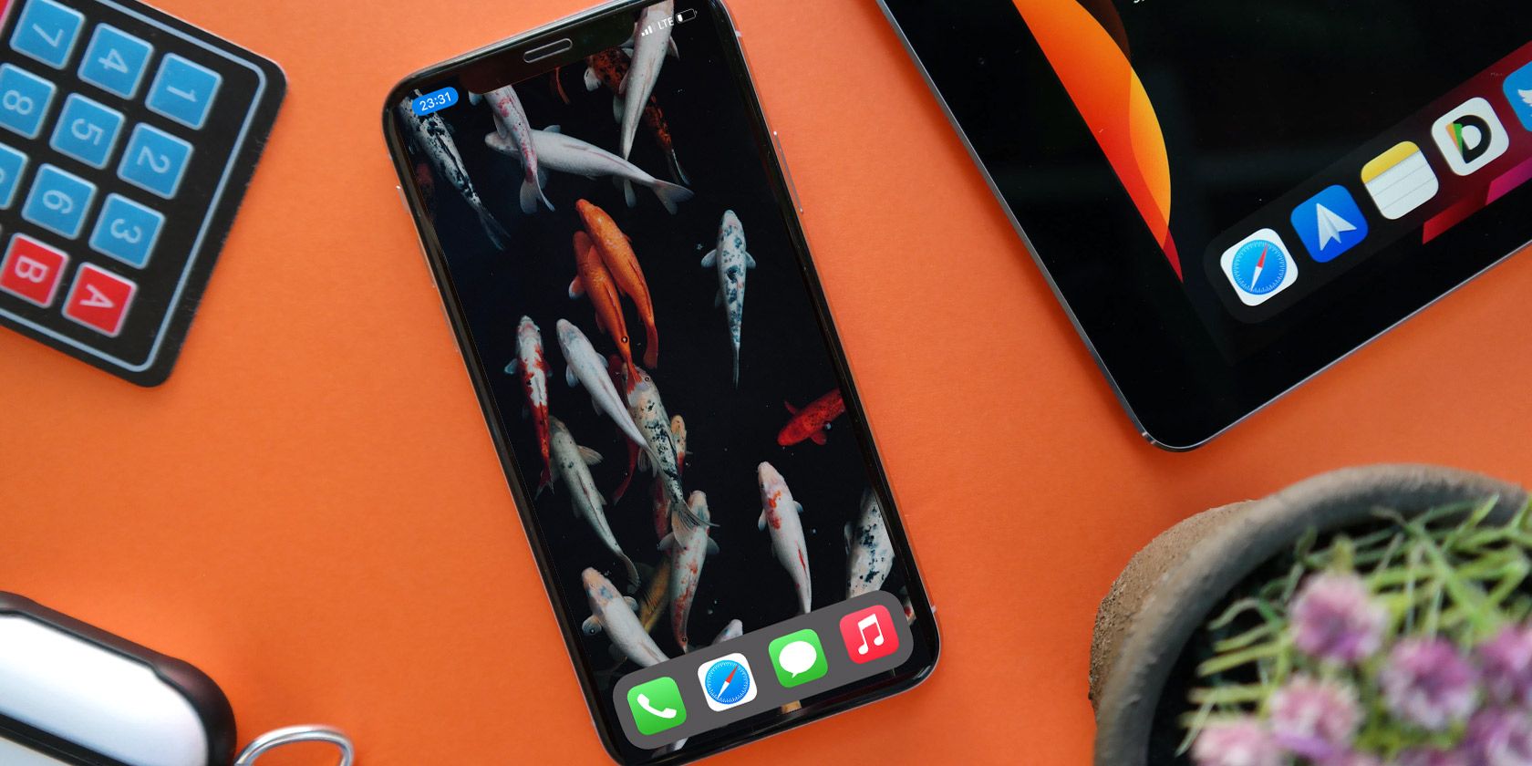 Пустой экран iPhone: 4 простых способа