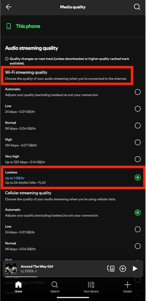 Lossless Audio in Spotify