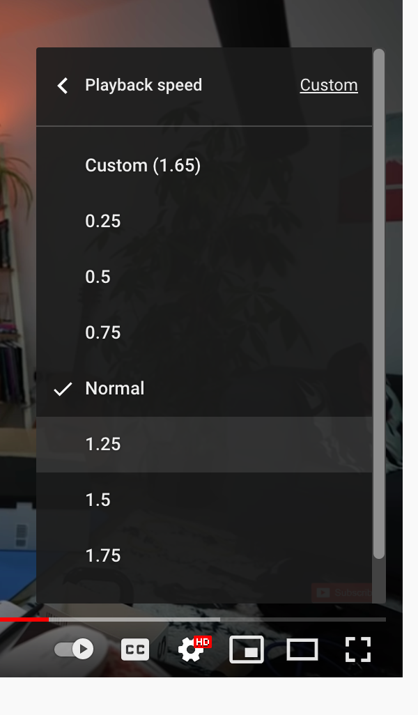 Список предустановленных скоростей воспроизведения на сайте YouTube