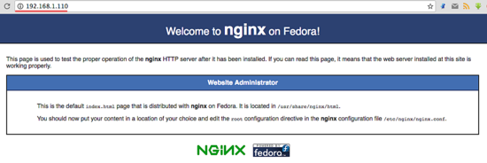 Проверка Nginx: стартовая страница по IP