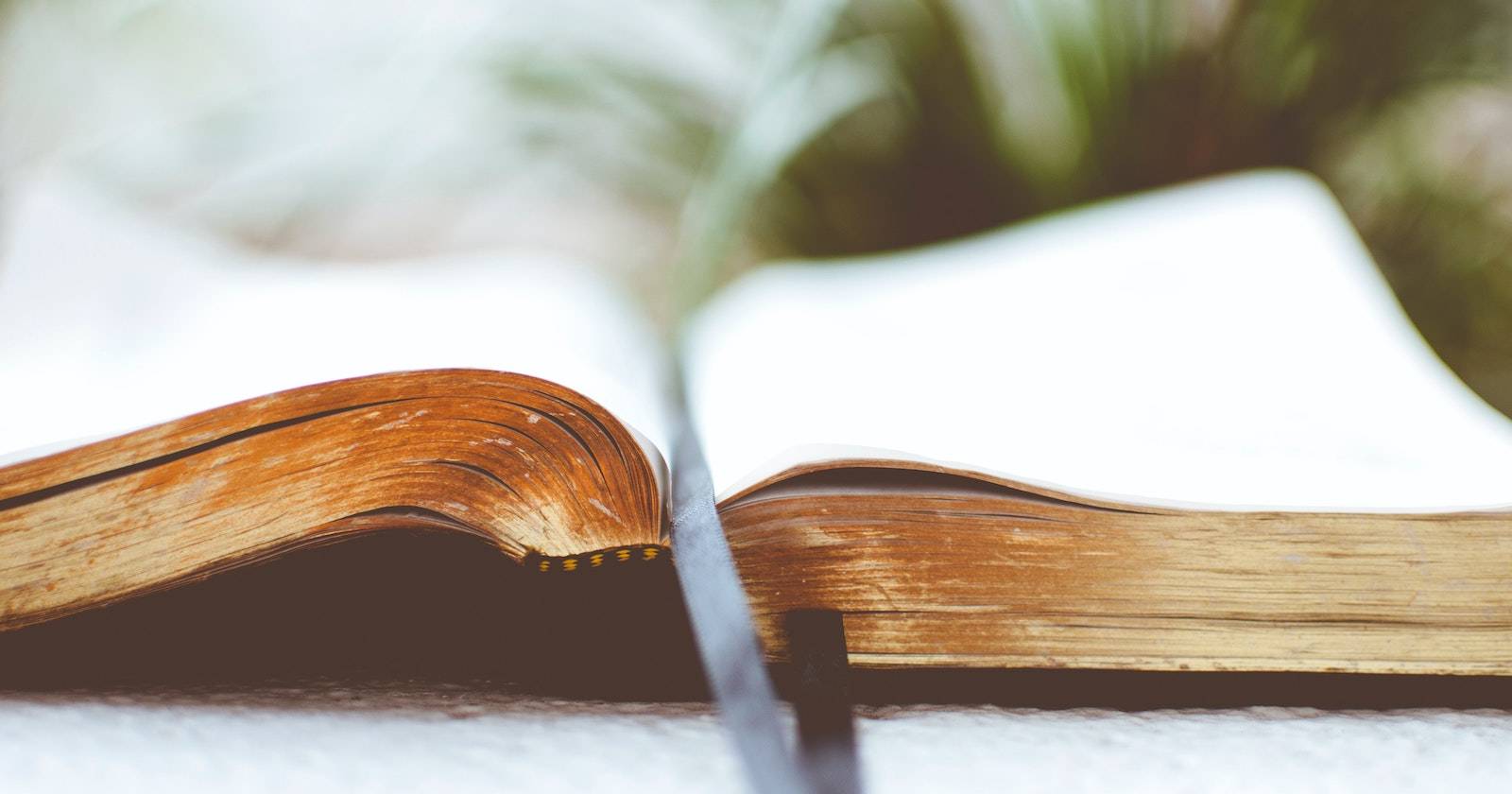 Руководство по git log — форматы и фильтры