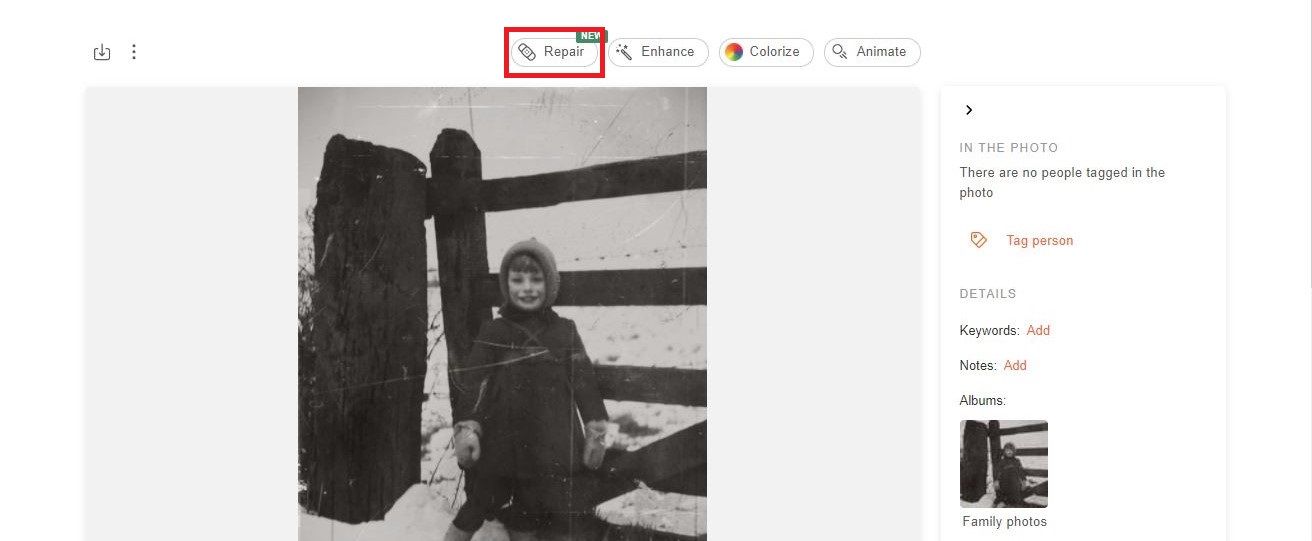 Настройки Photo Repair: выбор Gentle или Extensive для восстановления