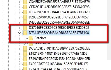 Выбранный ключ продукта в реестре