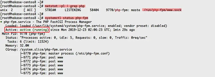 PHP‑FPM сокет и статус
