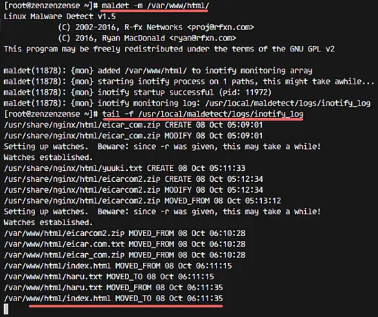 Мониторинг каталога maldet — inotify лог