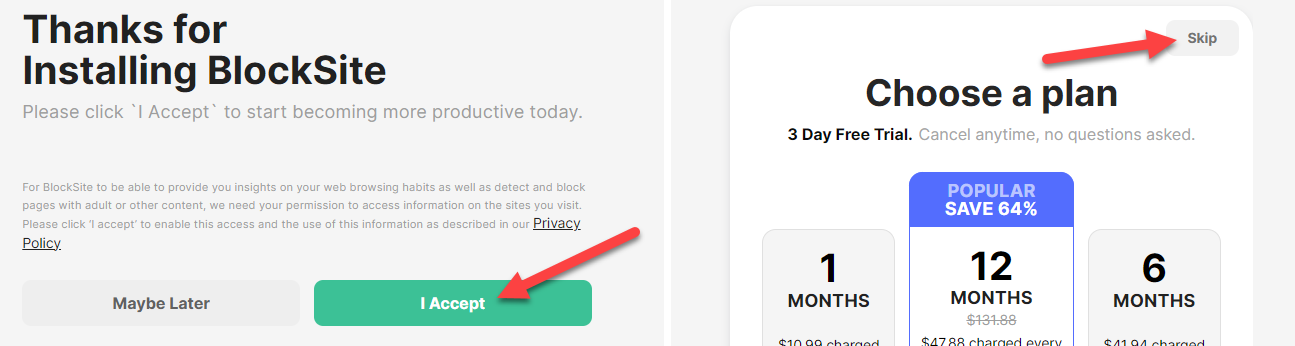 Нажмите «I Accept» и «Skip» в мастере установки