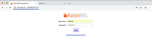 Вход в RabbitMQ