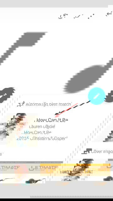 automatic-tag-editor-6