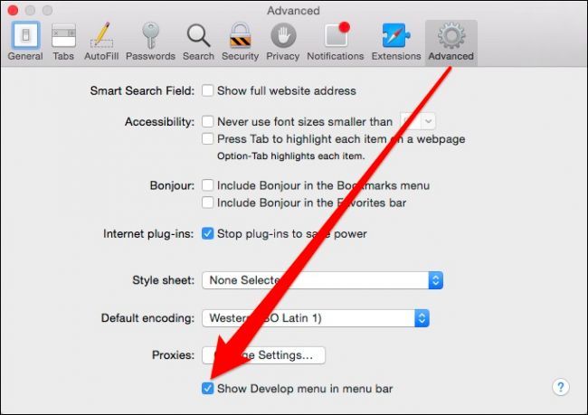 Включение меню «Разработка» в настройках Safari