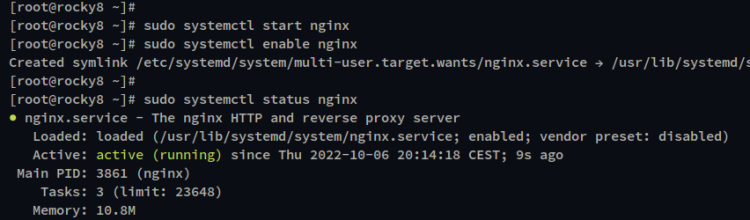 Проверка статуса Nginx