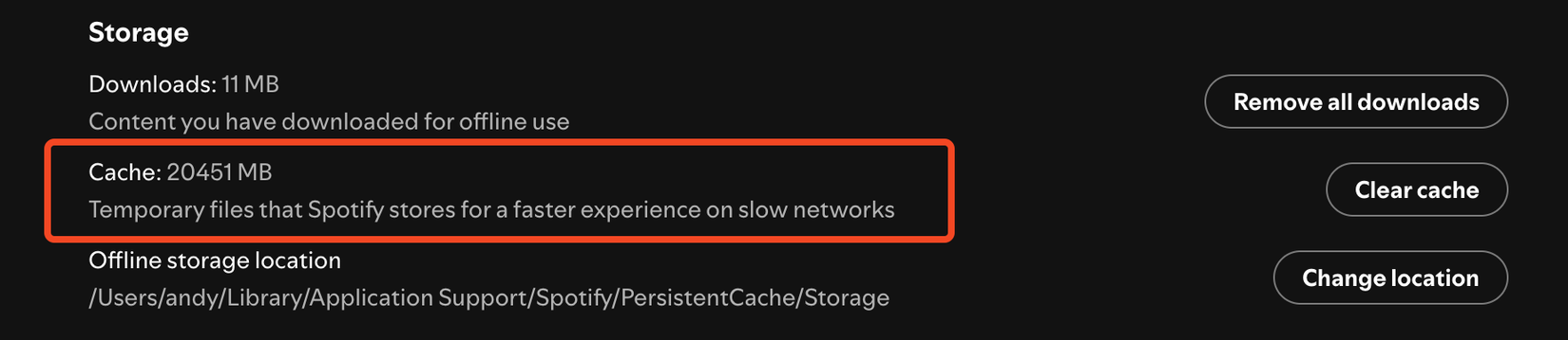 Кеш Spotify на диске.