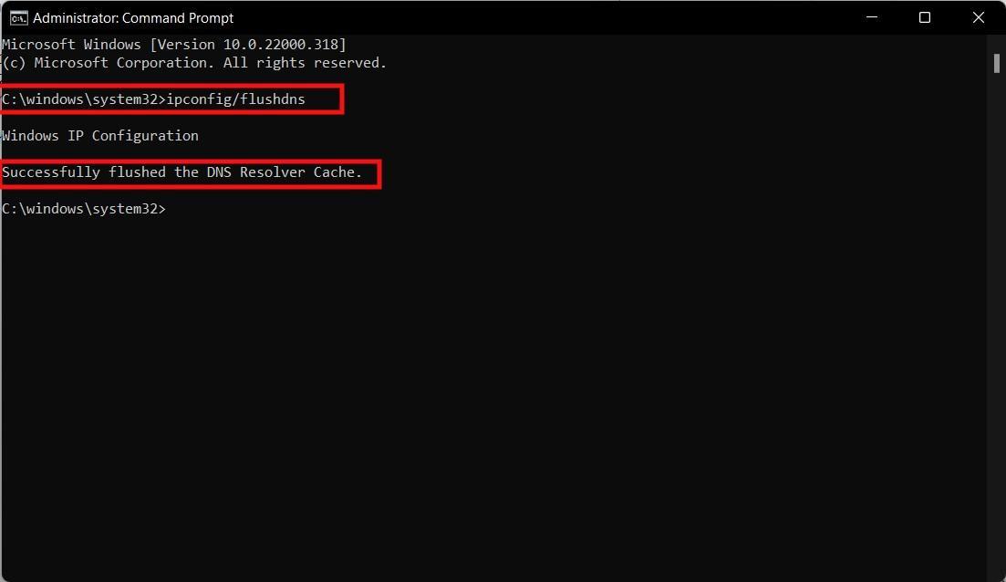 flush DNS
