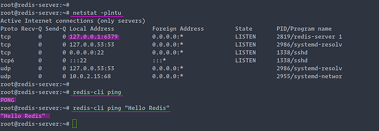 Ping Redis server to test it