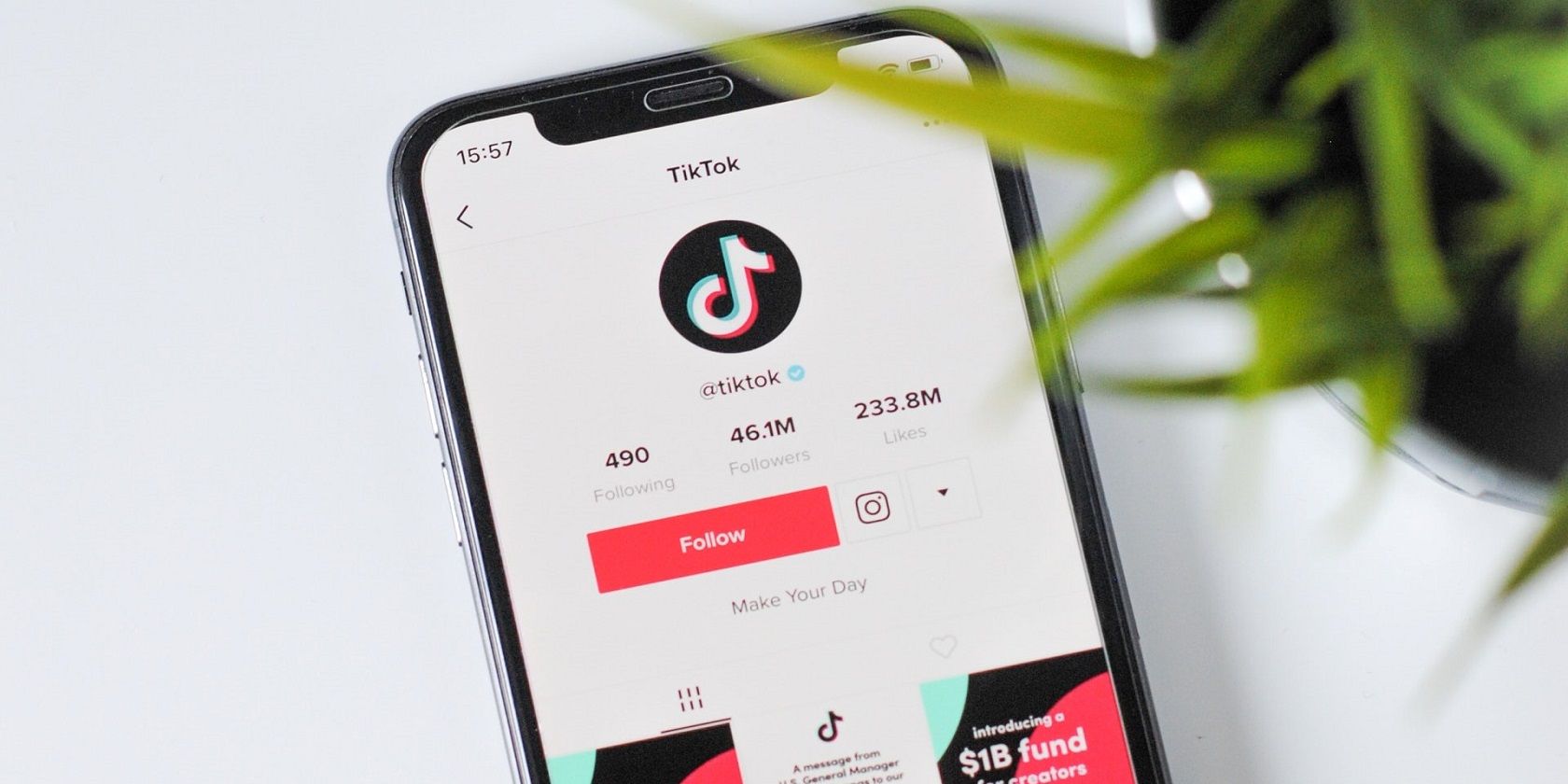 Как получить верификацию в TikTok