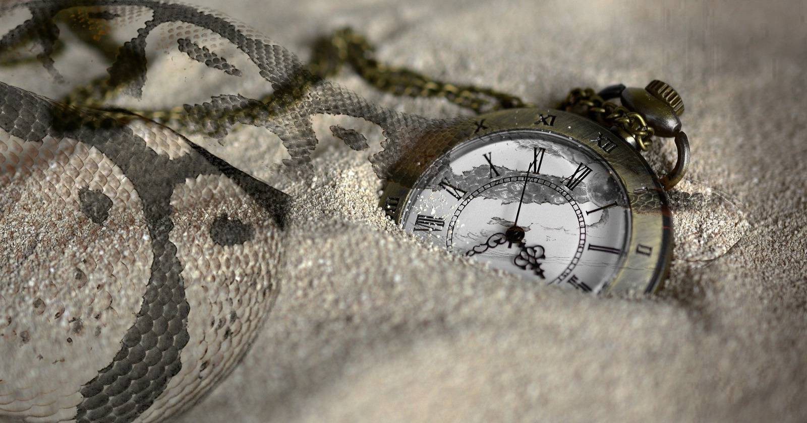 Модуль time в Python — руководство и примеры