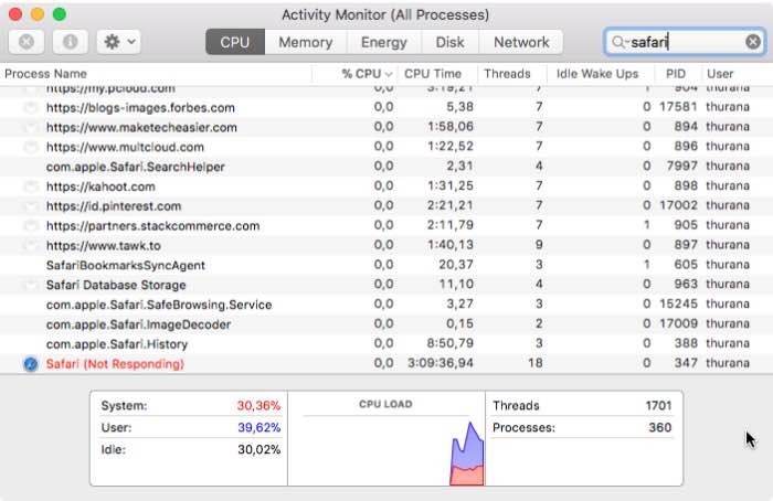 Диалог «Программа не отвечает» в macOS для приостановленного Safari