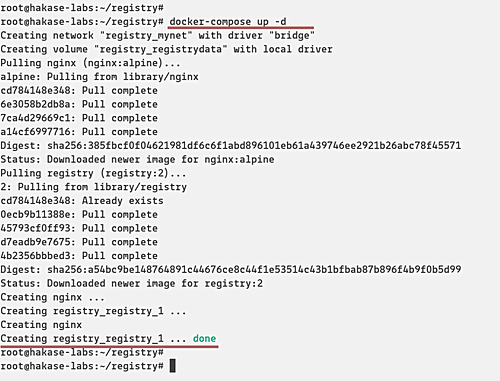 Запуск контейнеров и вывод docker-compose