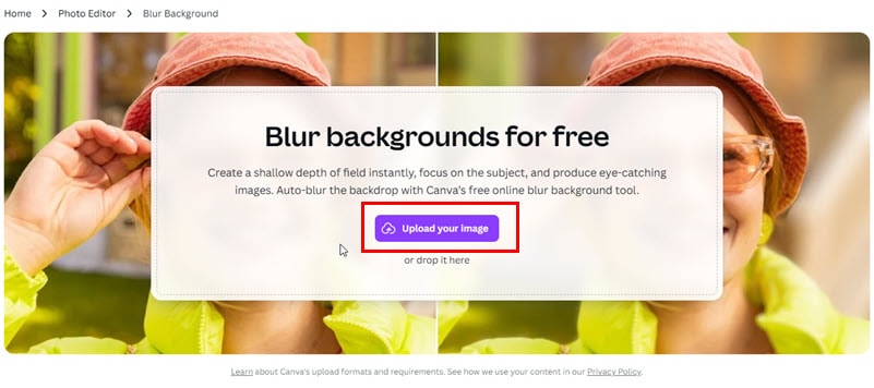 Кнопка загрузки изображения