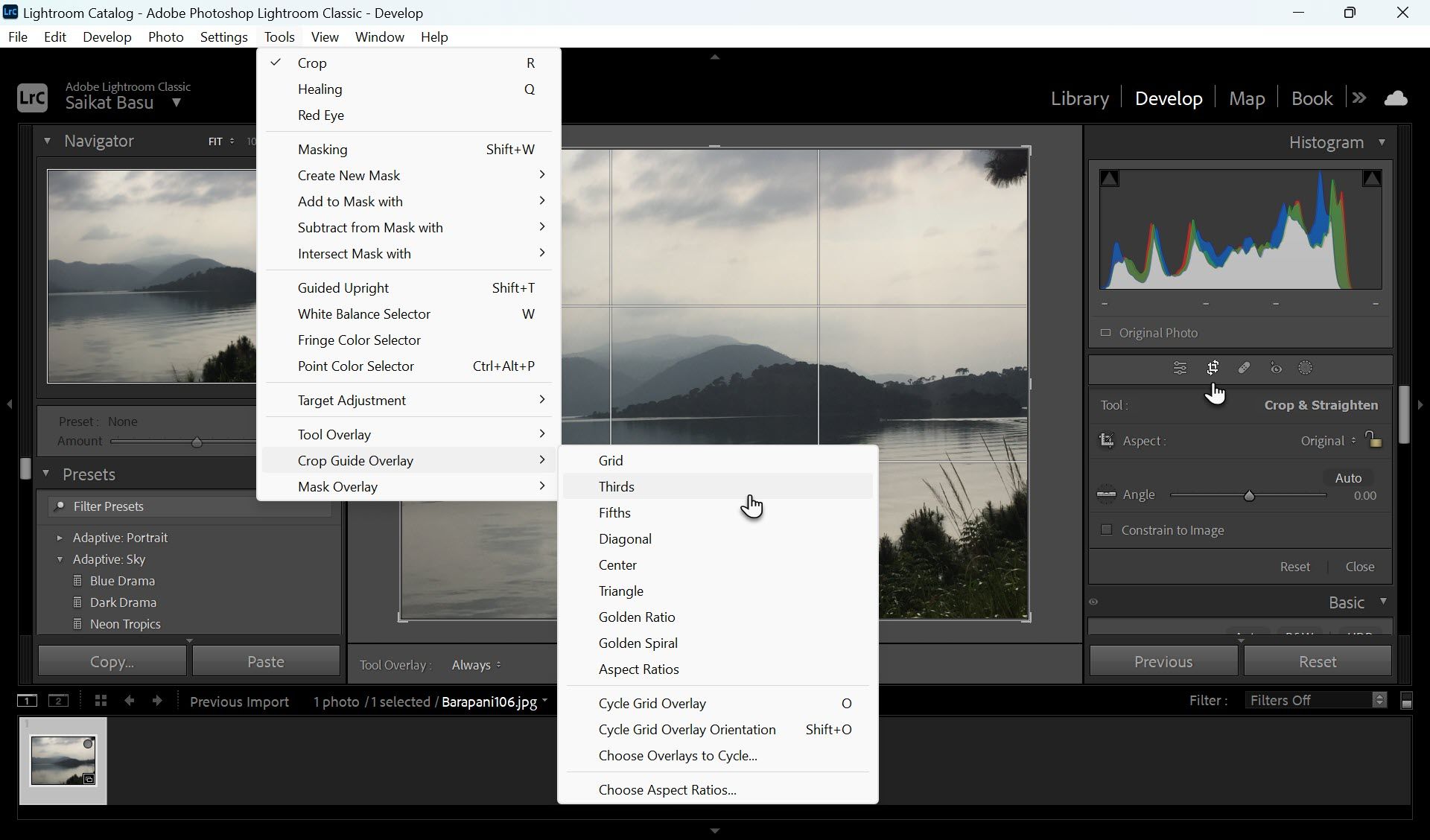 скриншот наложения правила третей в Lightroom