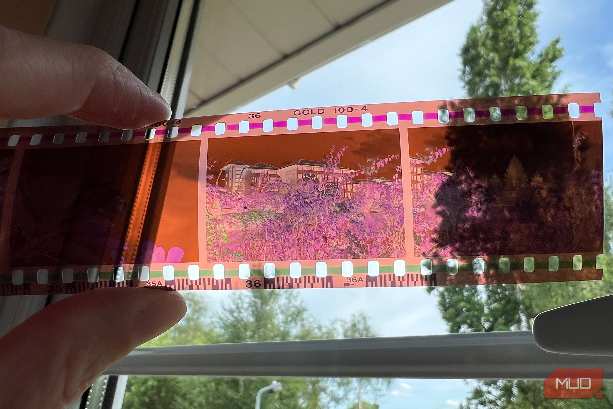 Полоса негативной плёнки крупным планом