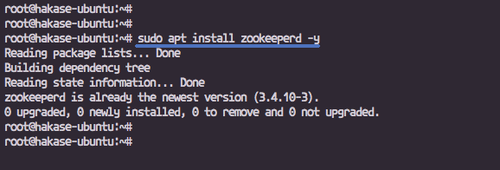 Установка Zookeeper
