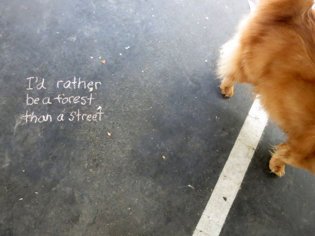 Кубби на асфальте, исходный снимок