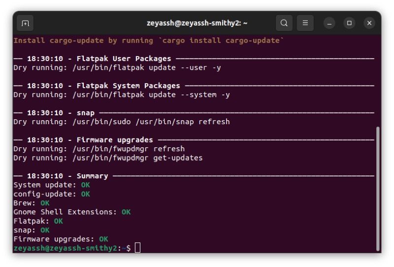 Сообщение о dry-run Topgrade в терминале